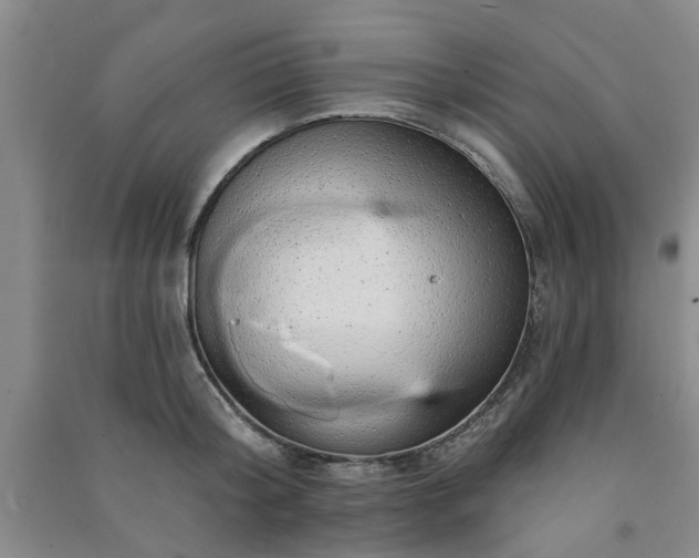 X0000091370804200708171544