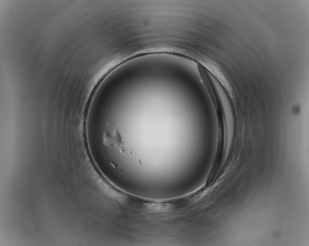 X0000091370805200708171544