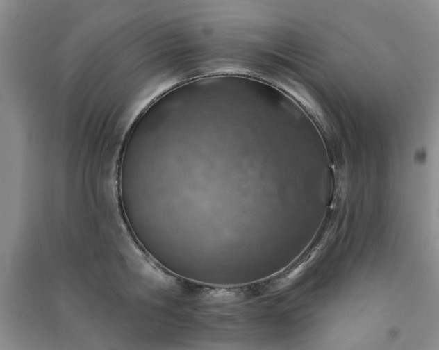 X0000091370806200708171544