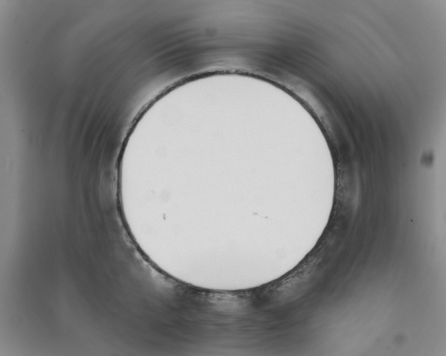 X0000091370807200708171544