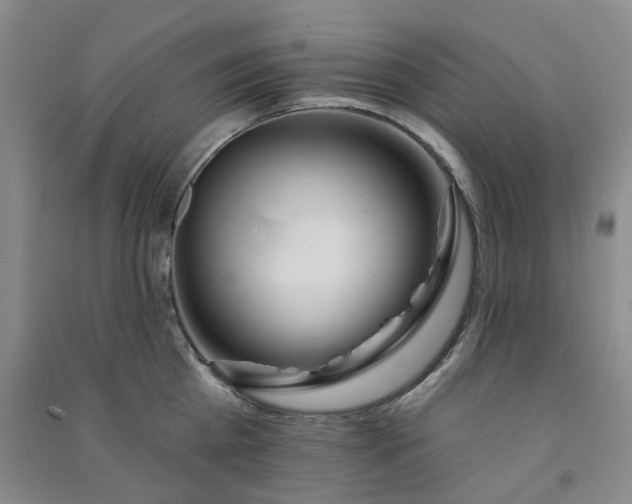 X0000091370809200708171544