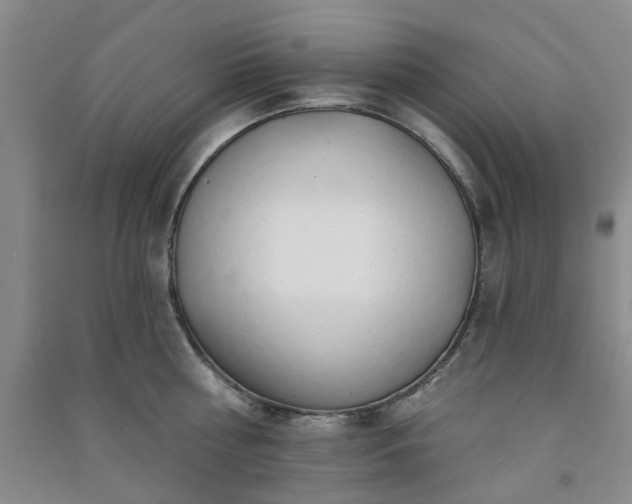 X0000091370810200708171544