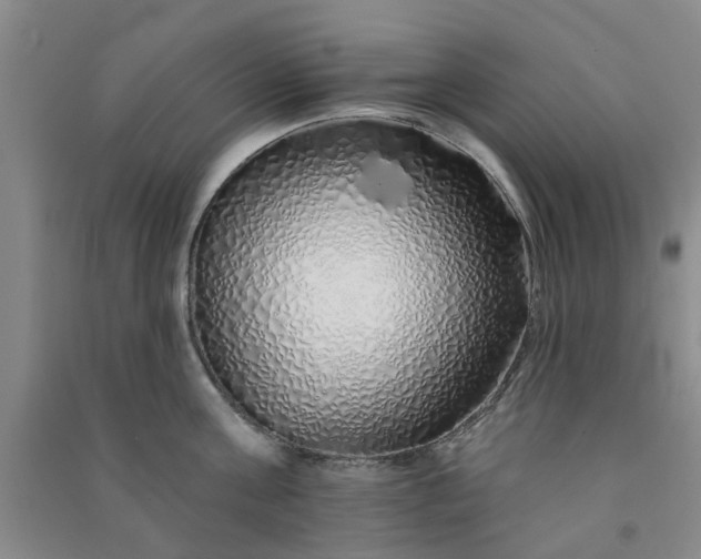 X0000091370811200708171544