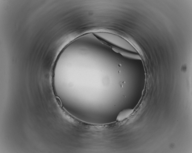 X0000091370813200708171544