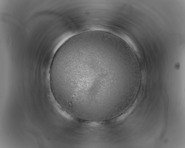 X0000091370814200708171544