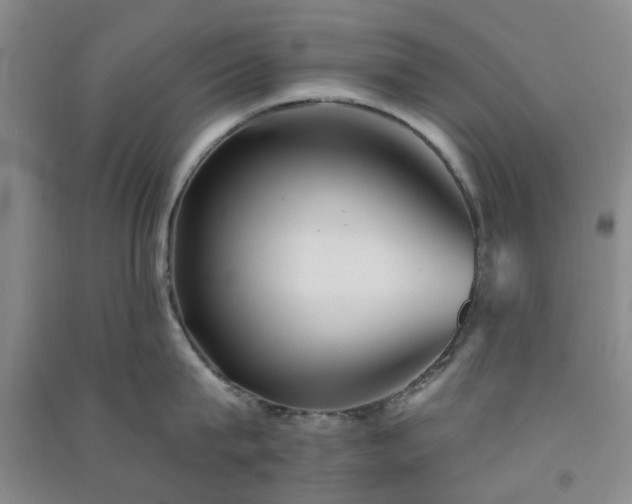 X0000091370815200708171544