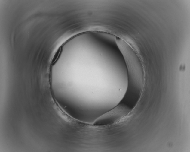 X0000091370816200708171544