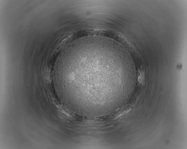 X0000091370819200708171543