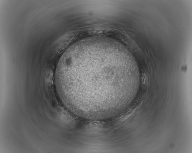 X0000091370820200708171543