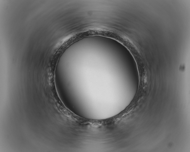 X0000091370822200708171543