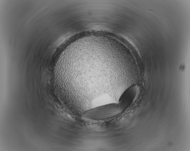 X0000091370823200708171543