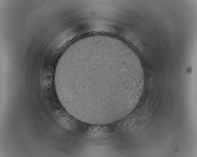 X0000091370824200708171543