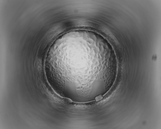 X0000091370825200708171543