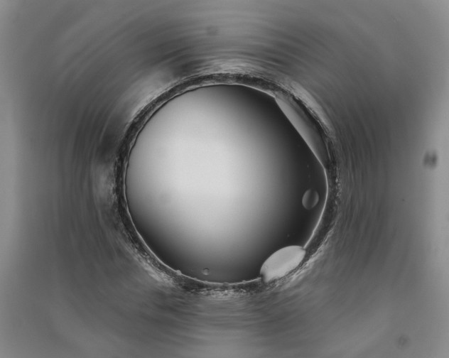 X0000091370826200708171543