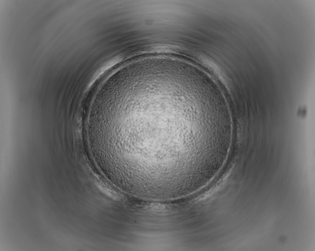 X0000091370827200708171543