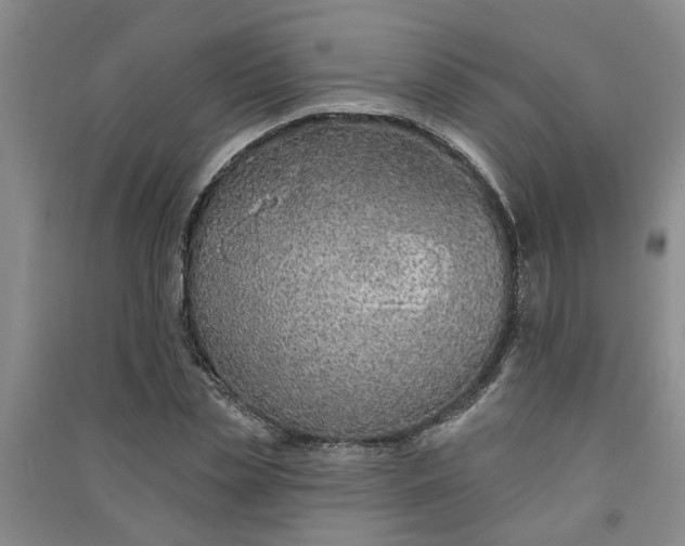 X0000091370829200708171543