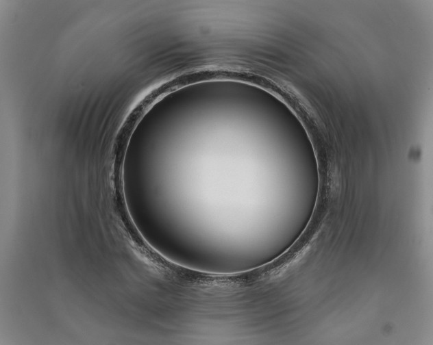 X0000091370830200708171543