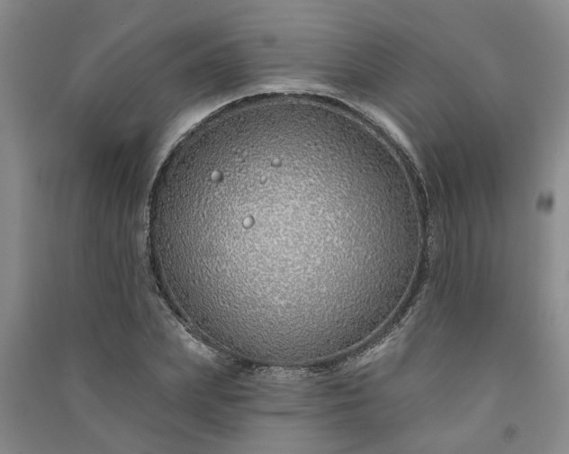 X0000091370831200708171543