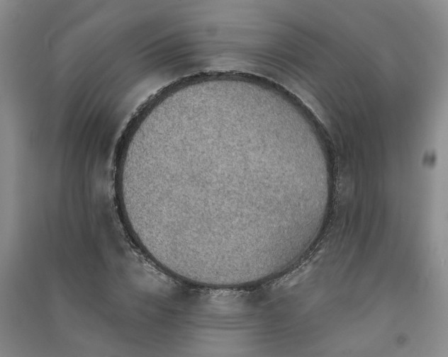 X0000091370832200708171543