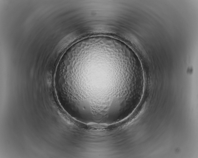 X0000091370833200708171543