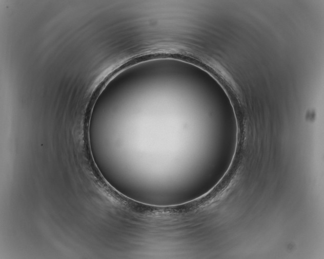 X0000091370834200708171543