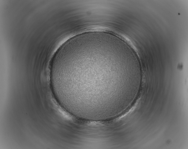 X0000091370835200708171543