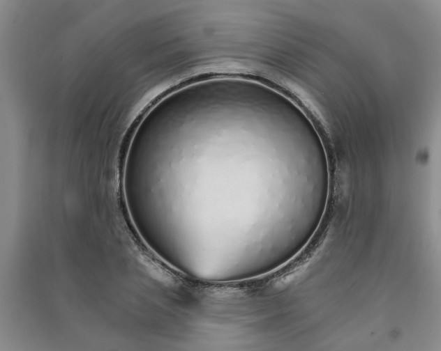 X0000091370837200708171543