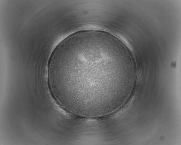 X0000091370839200708171543