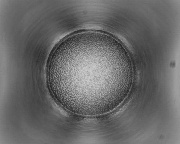 X0000091370840200708171543