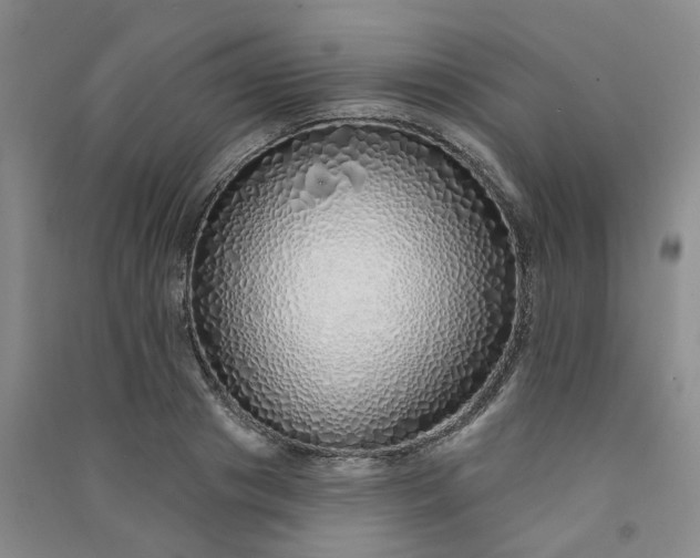 X0000091370841200708171543