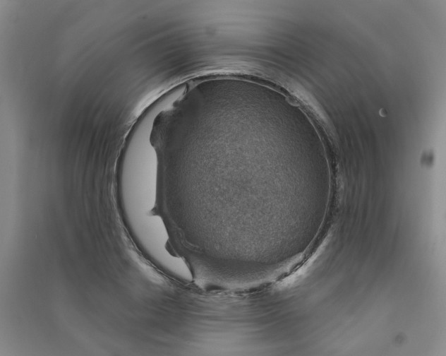 X0000091370842200708171543