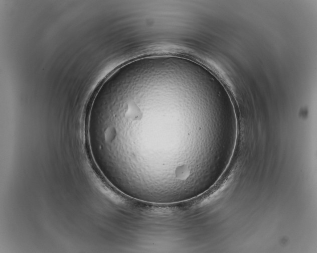 X0000091370843200708171543