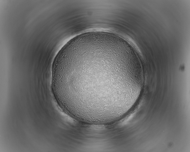 X0000091370844200708171543