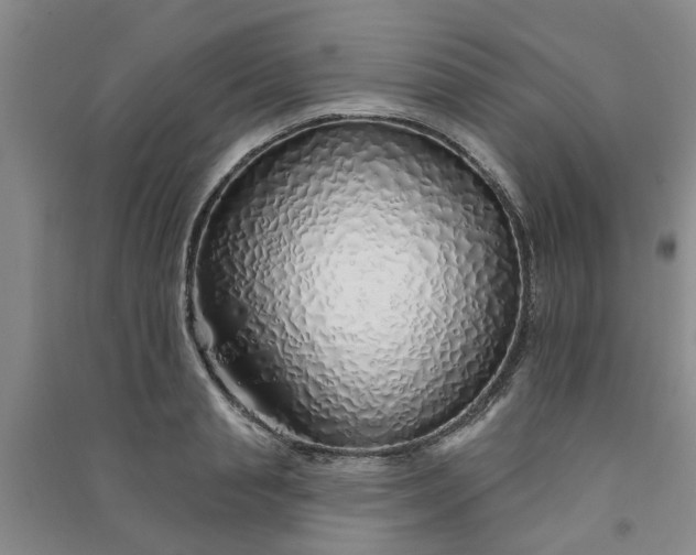 X0000091370845200708171543