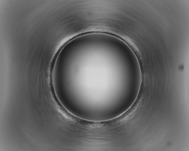 X0000091370846200708171543