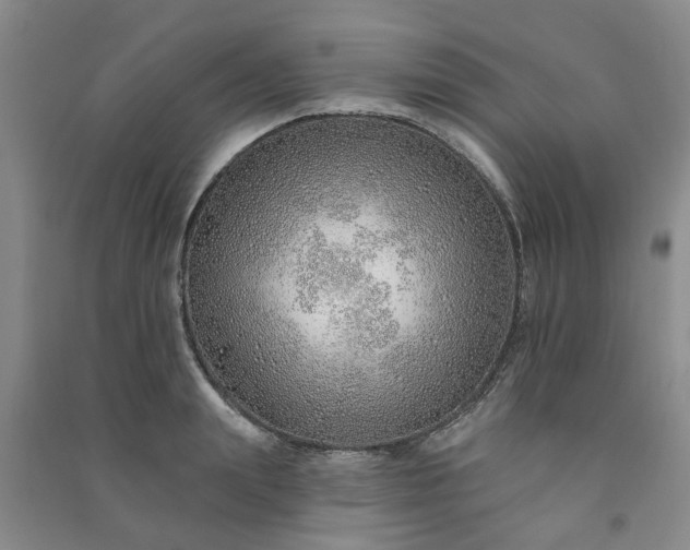 X0000091370847200708171543