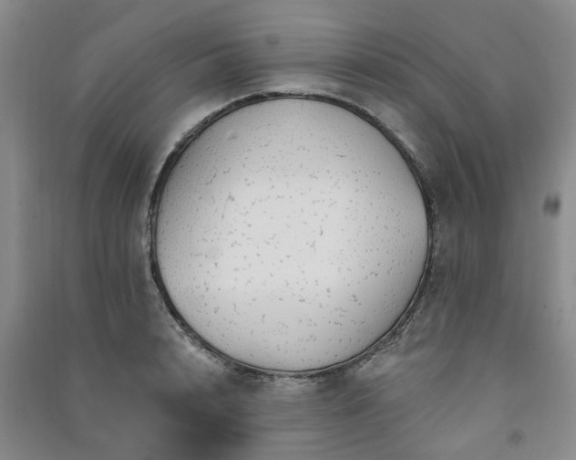 X0000091370848200708171543