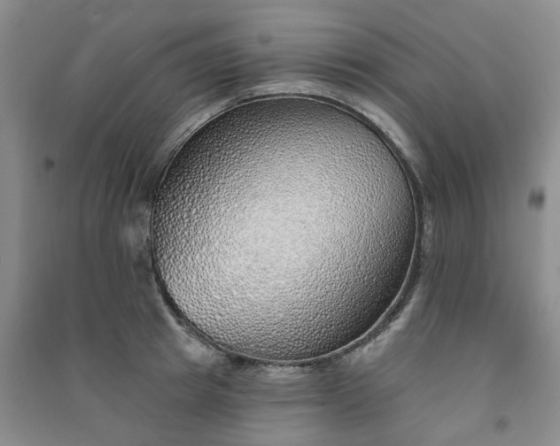 X0000091370849200708171543