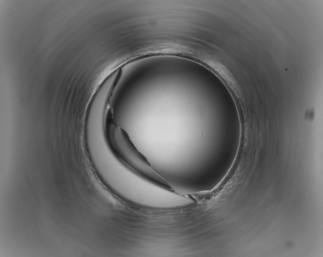 X0000091370850200708171543