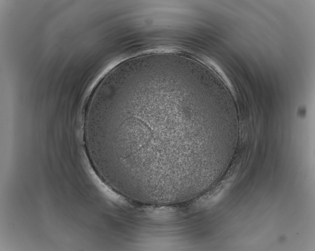 X0000091370851200708171543