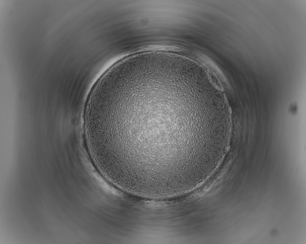 X0000091370852200708171543