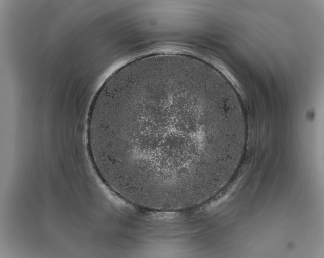 X0000091370853200708171543