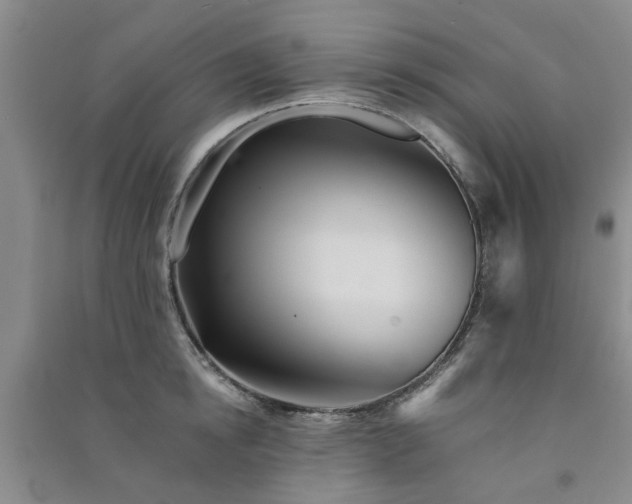 X0000091370854200708171543