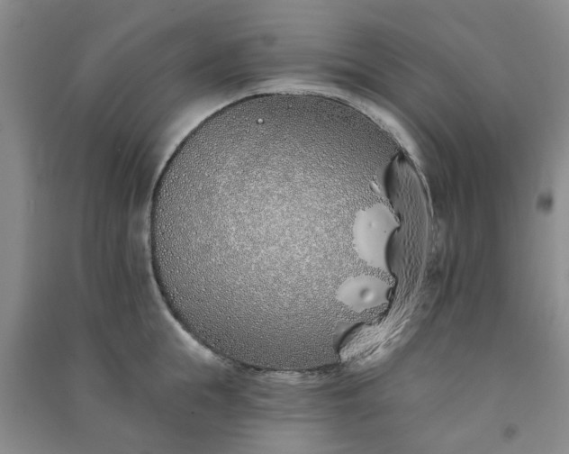 X0000091370855200708171543