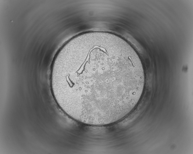 X0000091370856200708171543