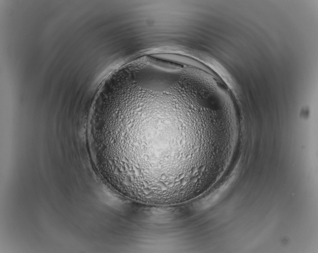 X0000091370857200708171543