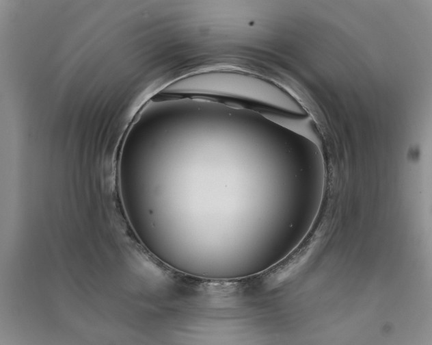 X0000091370858200708171543