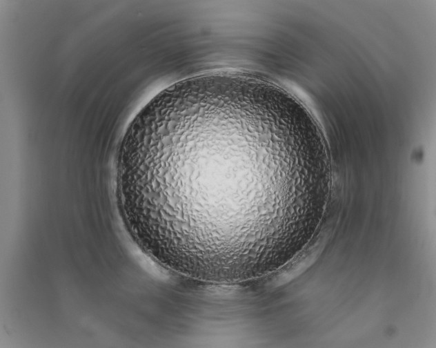 X0000091370859200708171543