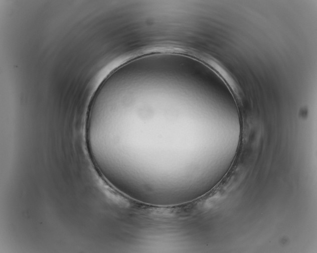 X0000091370861200708171544