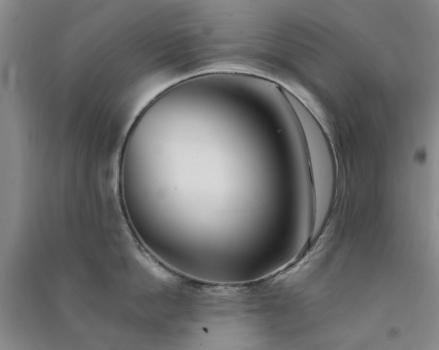 X0000091370862200708171544